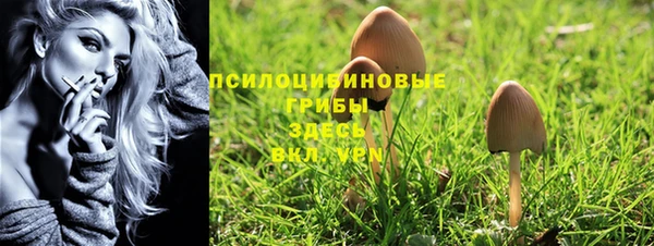 скорость Ладушкин